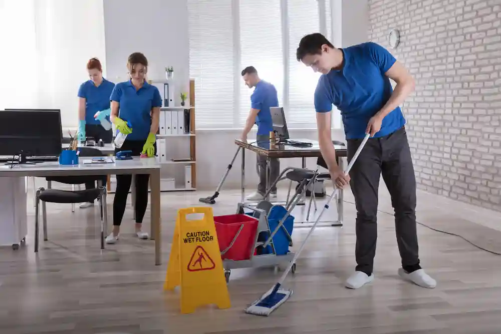 2. Cleaning Services