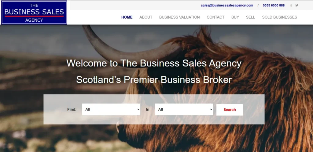 3. Business Sales Agency